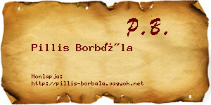 Pillis Borbála névjegykártya